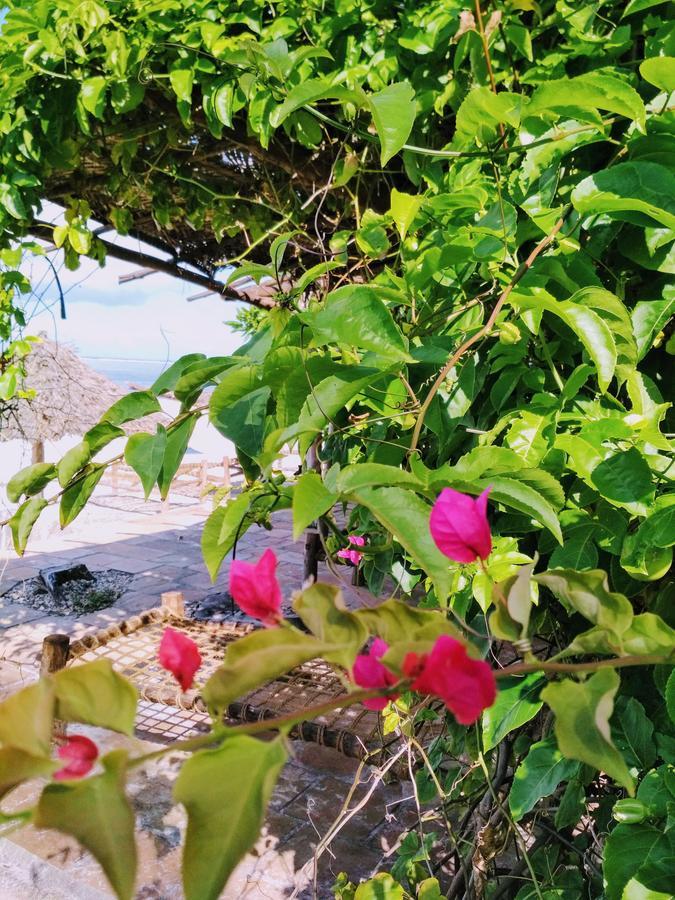 Panga Chumvi Beach Resort Matemwe  Eksteriør billede